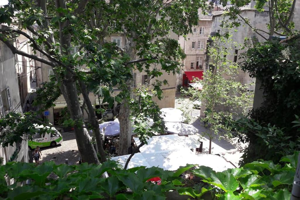 Appartement Rénové, Vue Sur Palais Des Papes, Terrasse Et Wifi Troisieme Etage