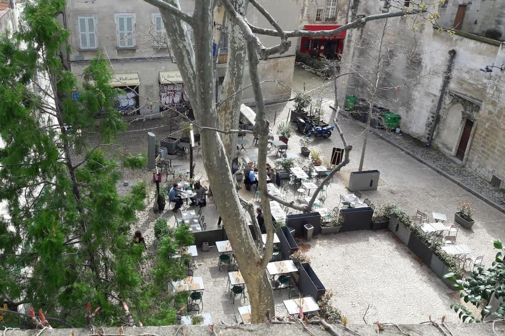 Renove, Vue Sur Palais Des Papes, Terrasse Et Wifi Troisieme Etage Apartment